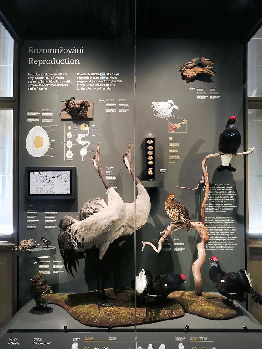 narodni muzeum praag 7-2023 9067