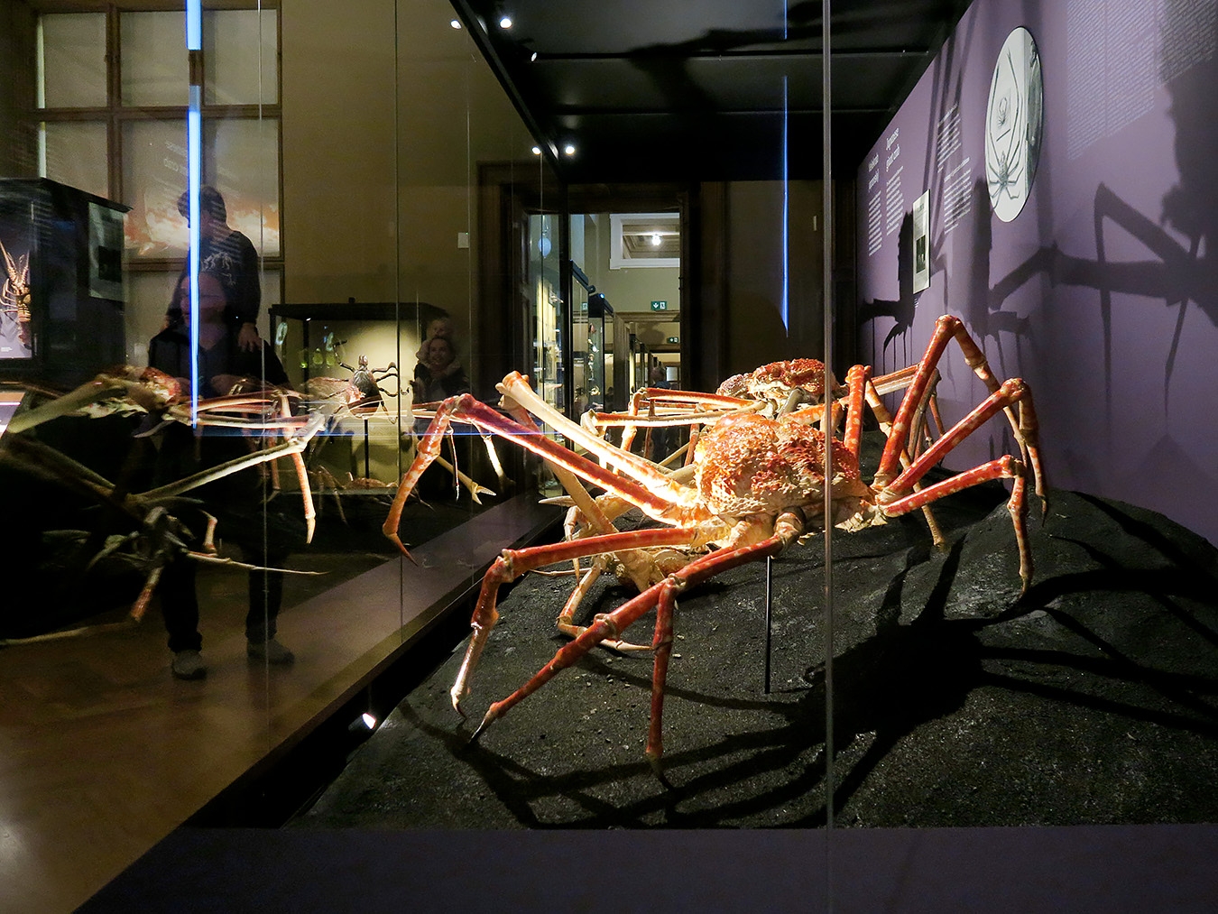 narodni muzeum praag 7-2023 9081