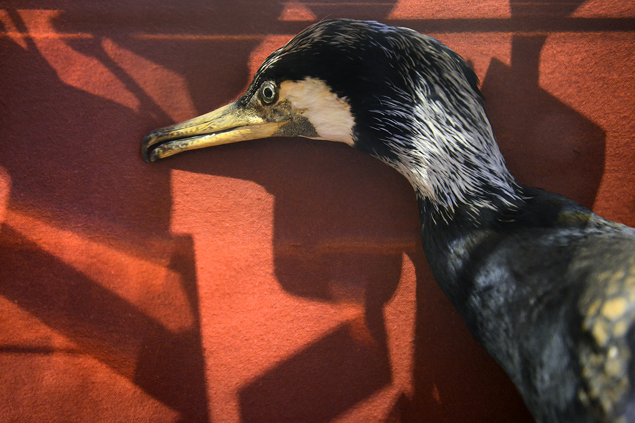 natura docet denekamp 4-2022 2167