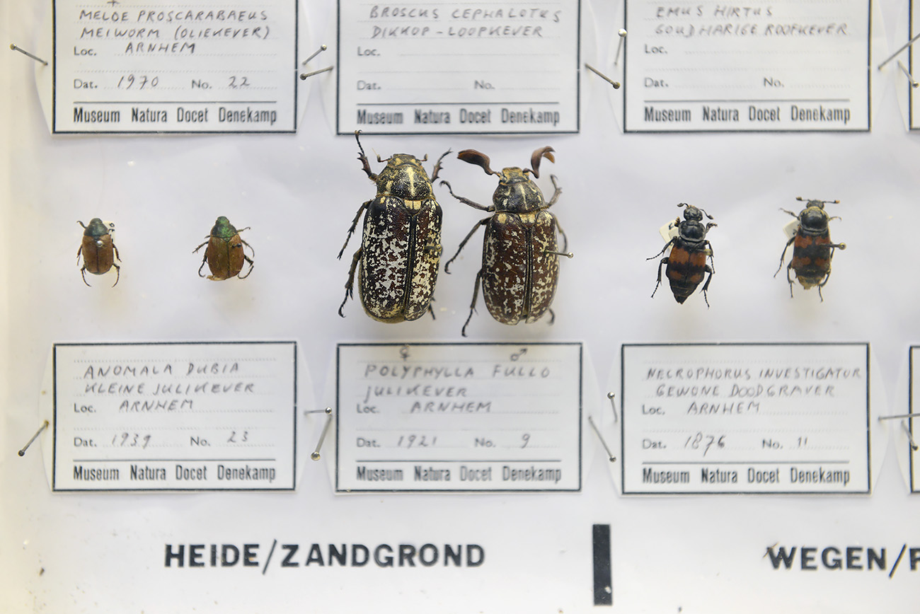 natura docet denekamp 4-2022 2171