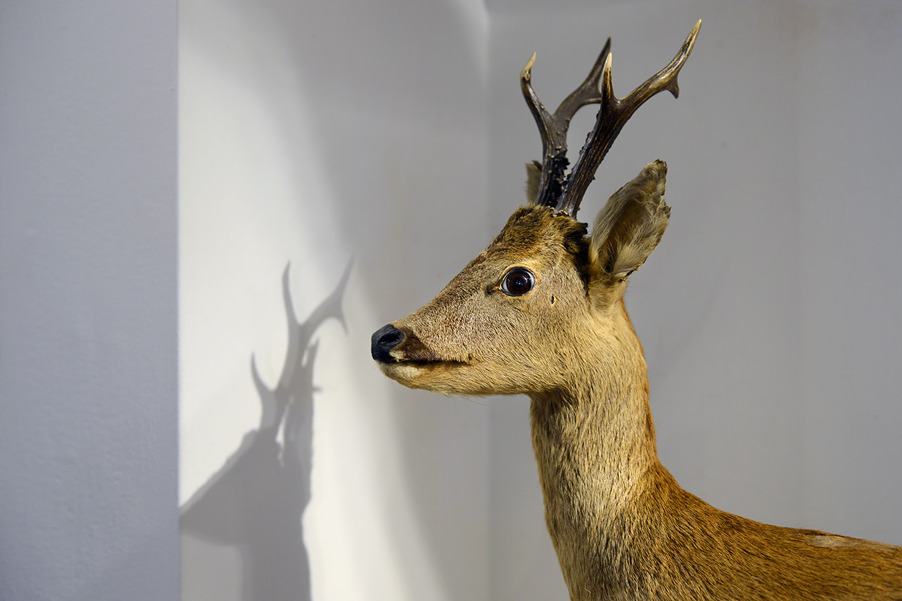 natura docet denekamp 4-2022 2181