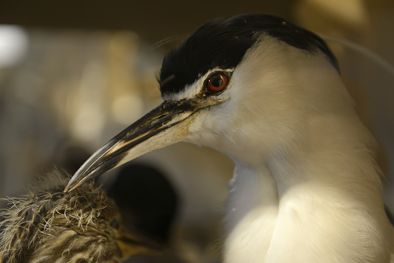 natura docet denekamp 4-2022 2202