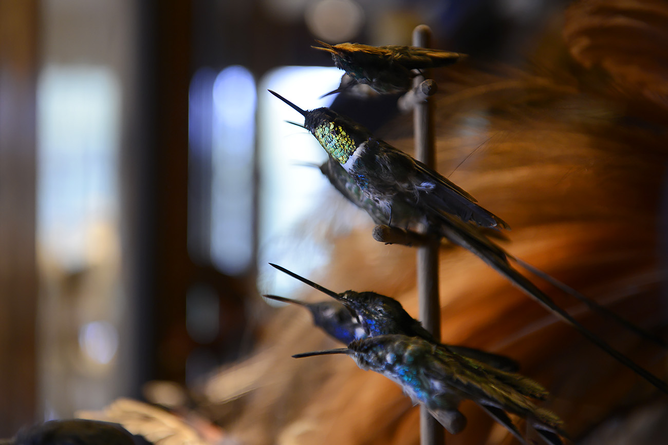 natura docet denekamp 4-2022 2303