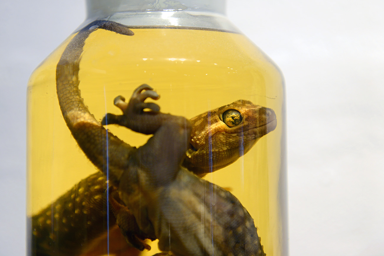 natura docet denekamp 4-2022 2337