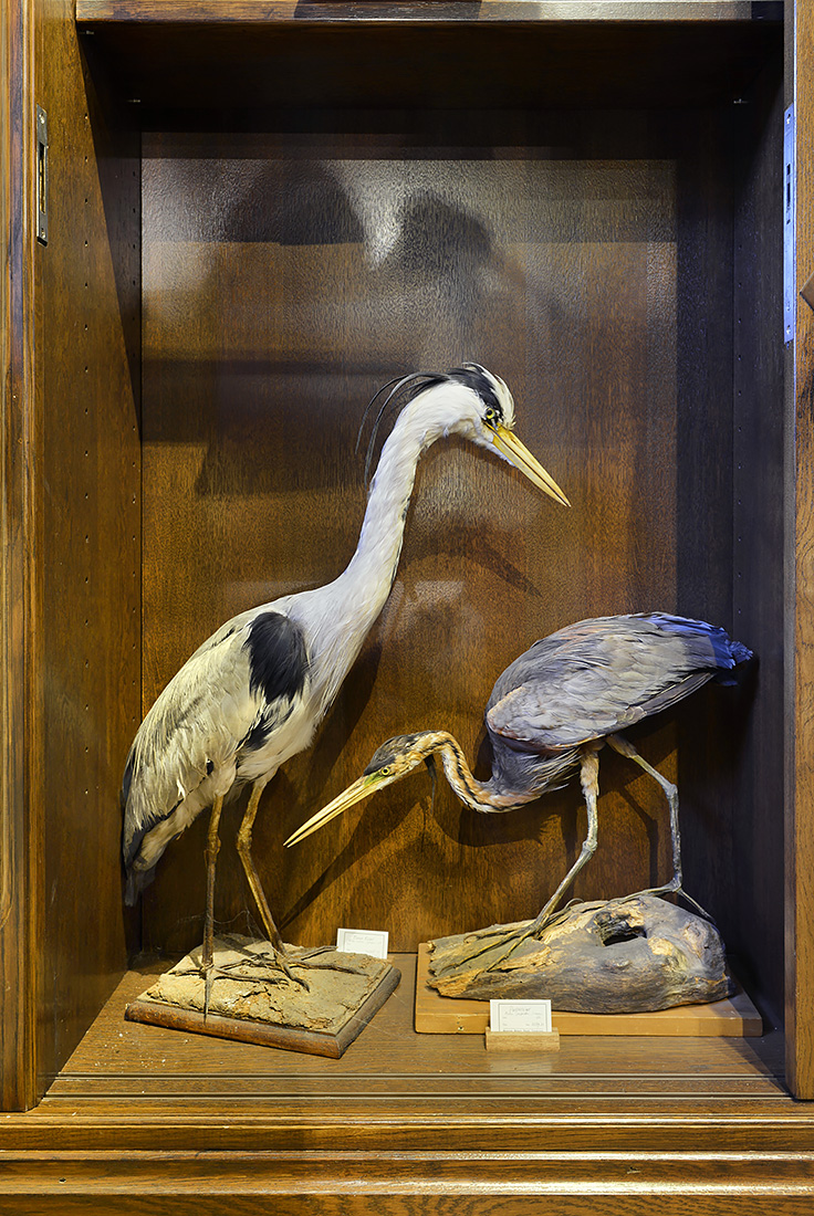 natura docet denekamp 6-2022 3390