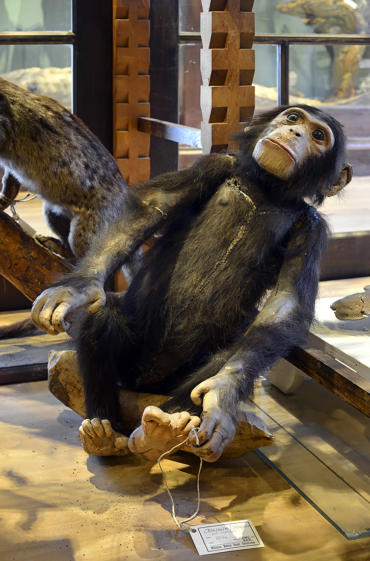 natura docet denekamp 6-2022 3432