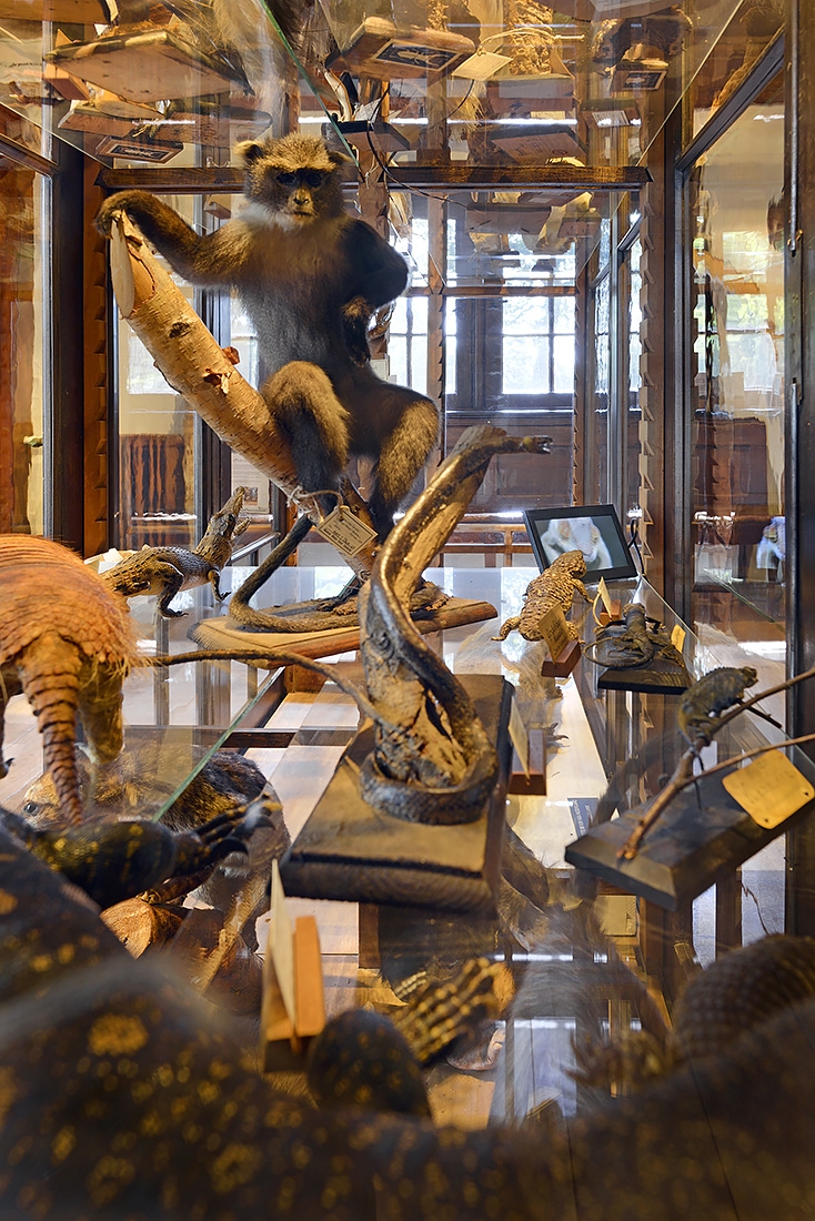 natura docet denekamp 6-2022 3515