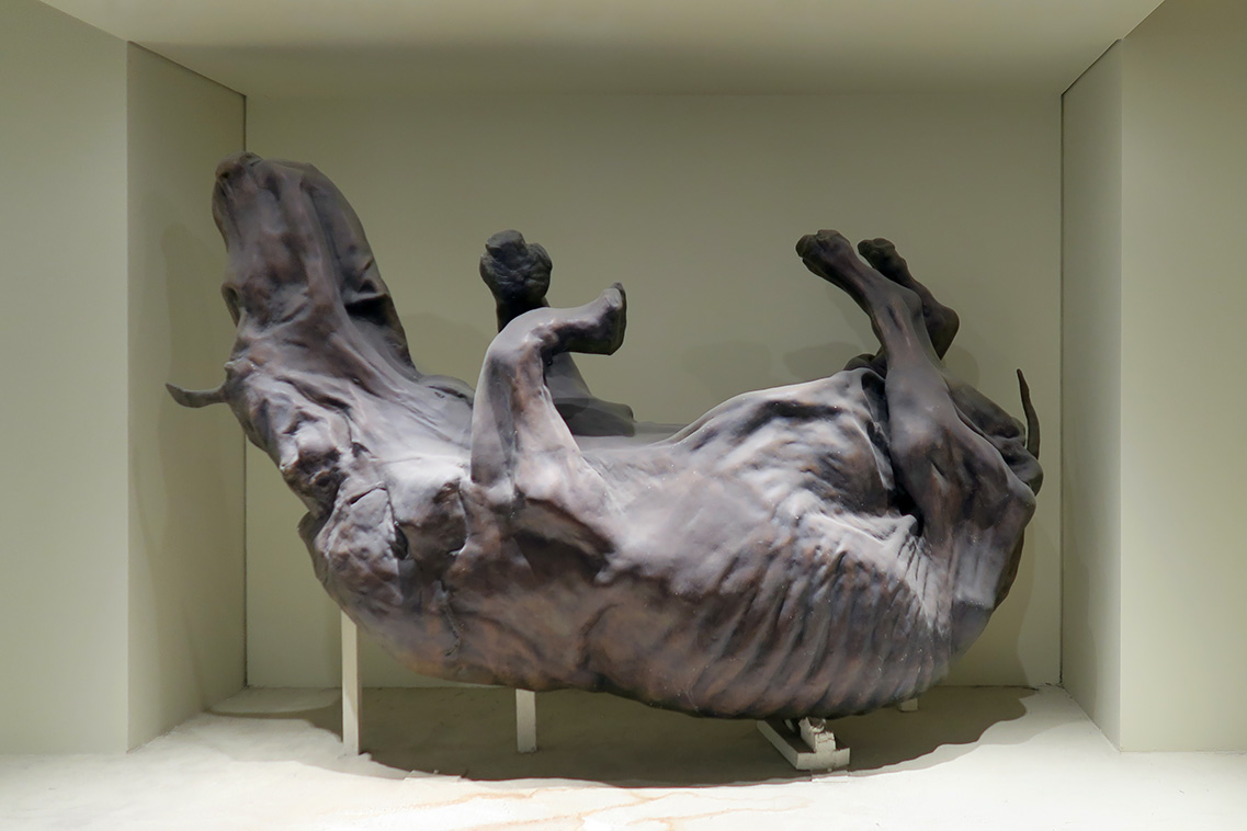 natural history museum londen 5-2018 5217