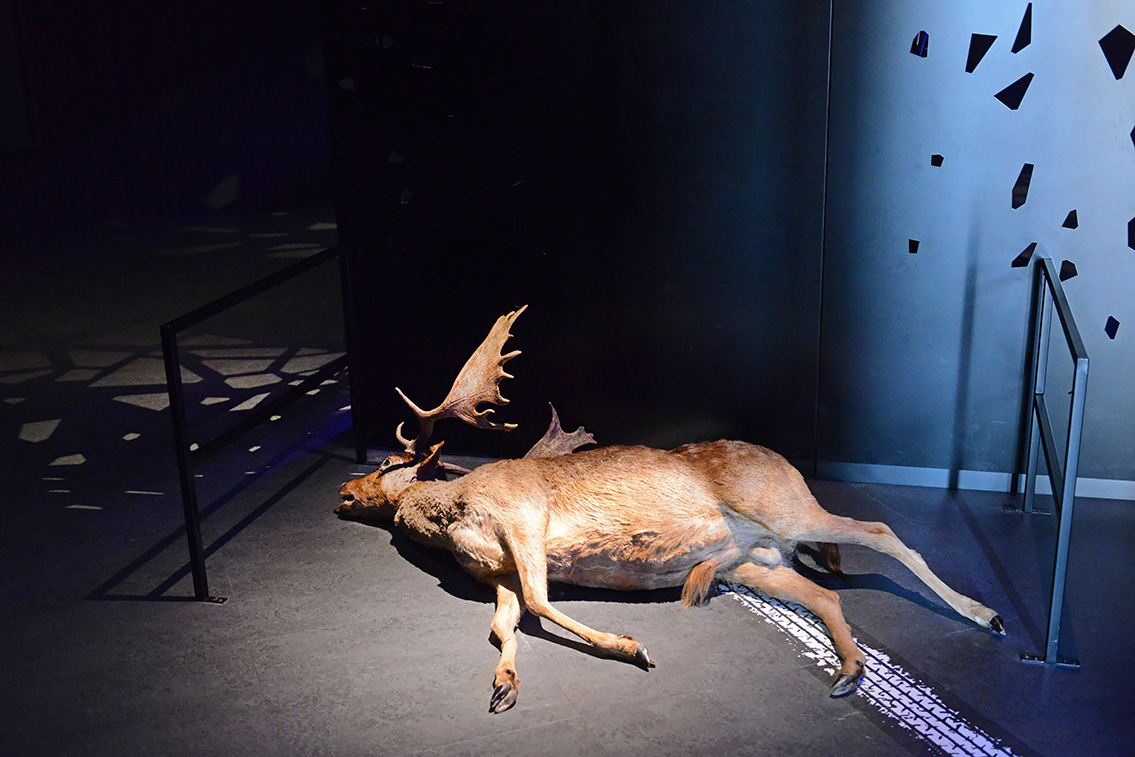 naturalis 9-2021 9635