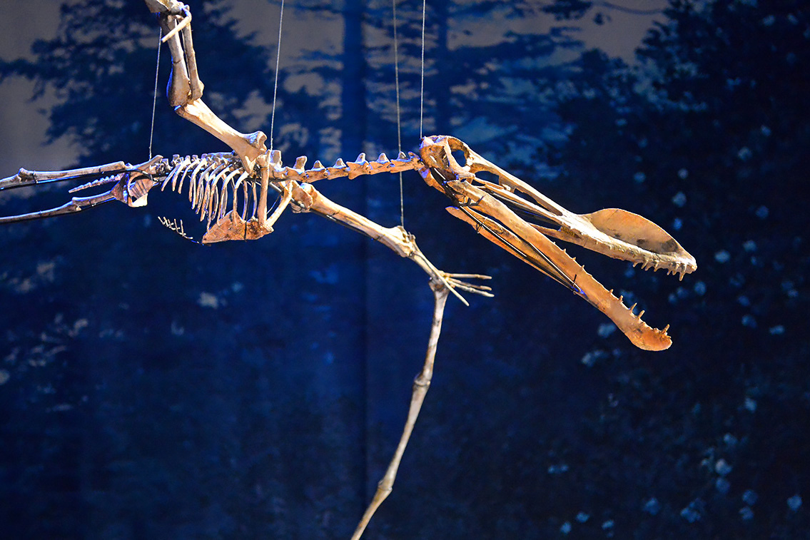 naturalis 9-2021 9763