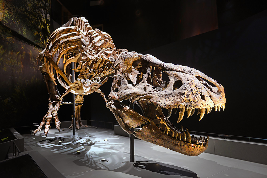 naturalis 9-2021 9780-