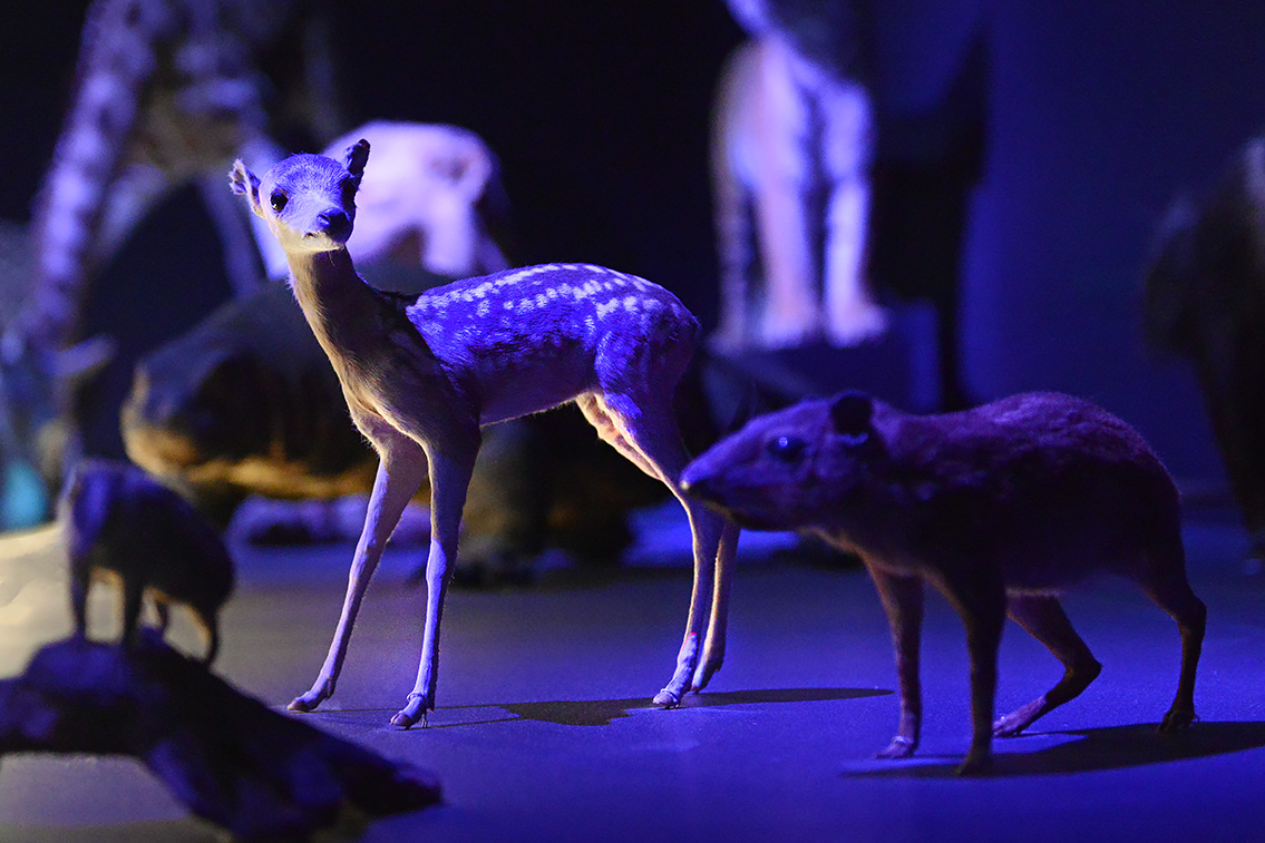 naturalis 9-2021 9806