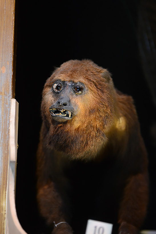 naturalis 9-2021 9829