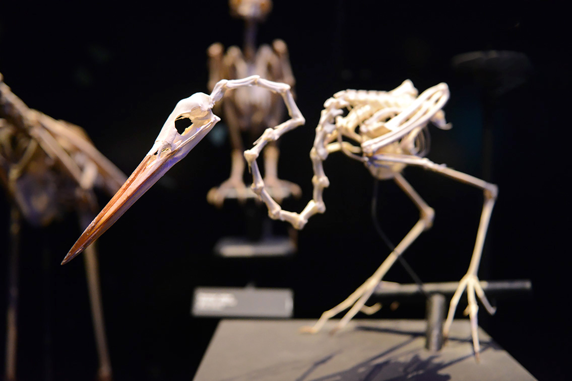 naturalis 9-2021 9842