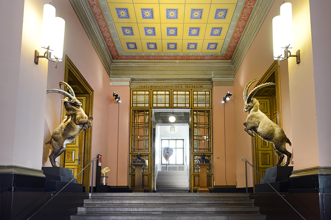 naturhistorisches museum basel 8-2022 4852