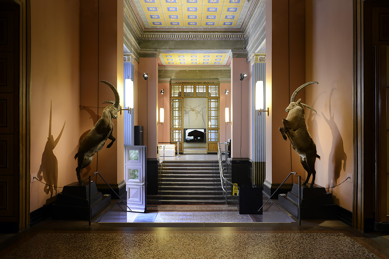 naturhistorisches museum basel 8-2022 4857