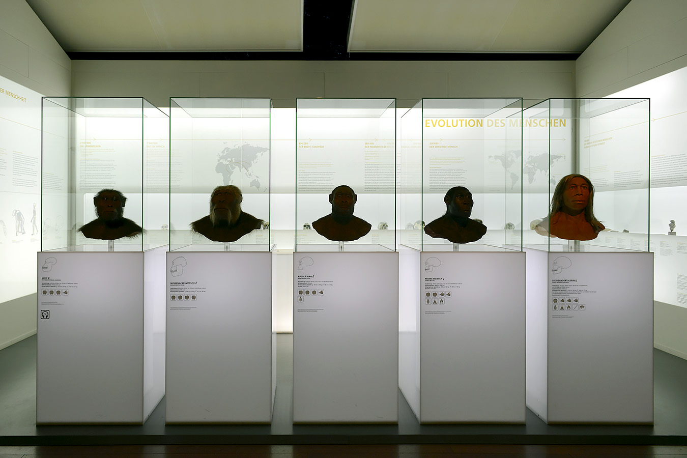naturhistorisches museum basel 8-2022 4871