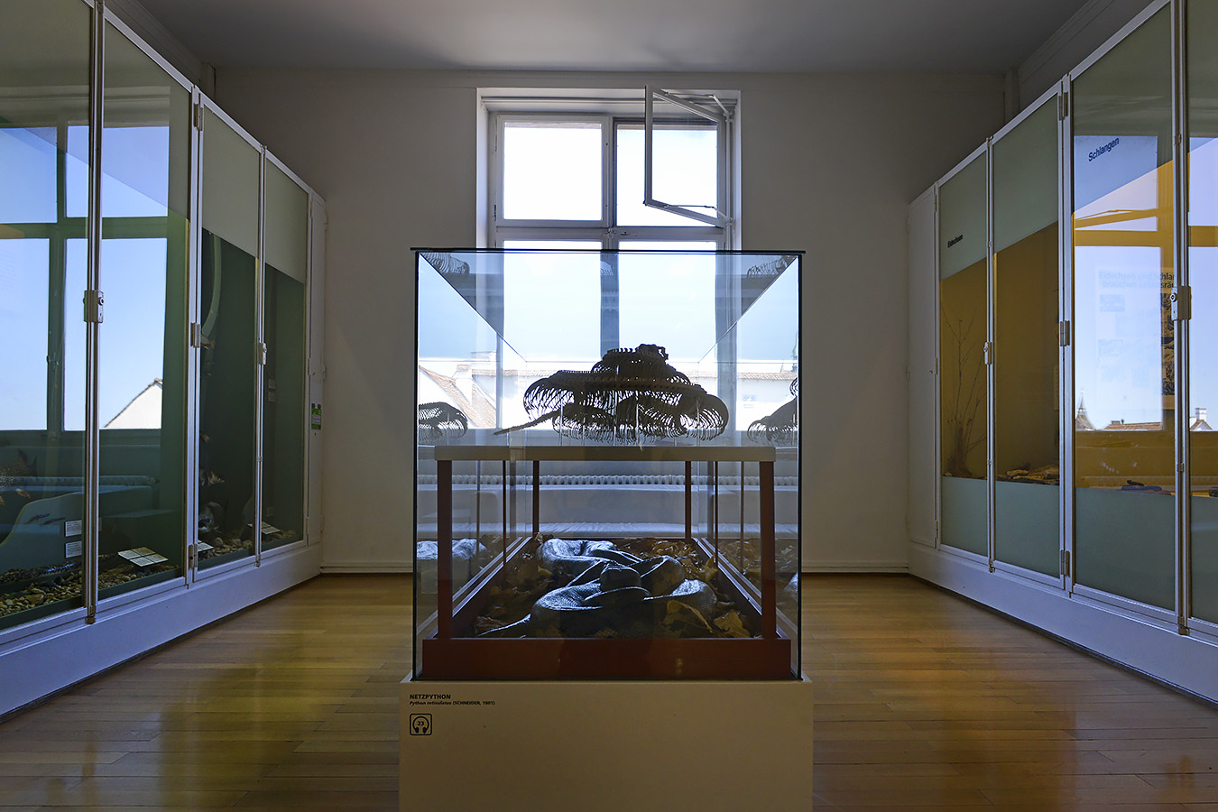 naturhistorisches museum basel 8-2022 4948