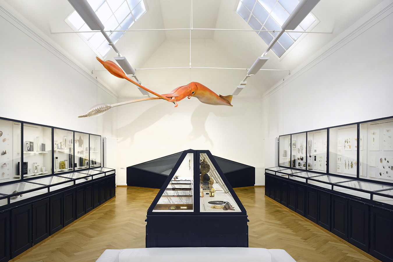 naturhistorisches museum basel 8-2022 4966