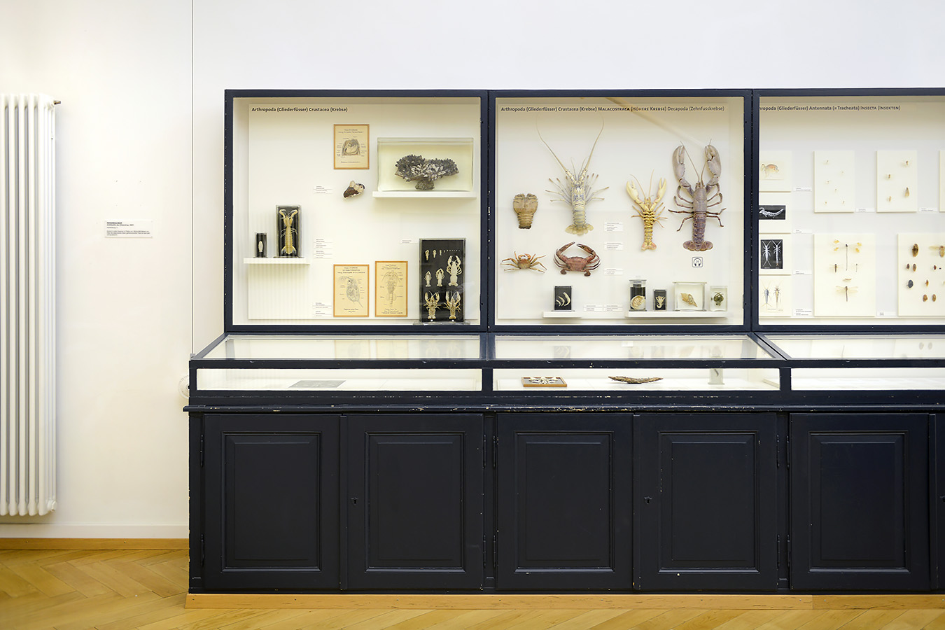 naturhistorisches museum basel 8-2022 4967