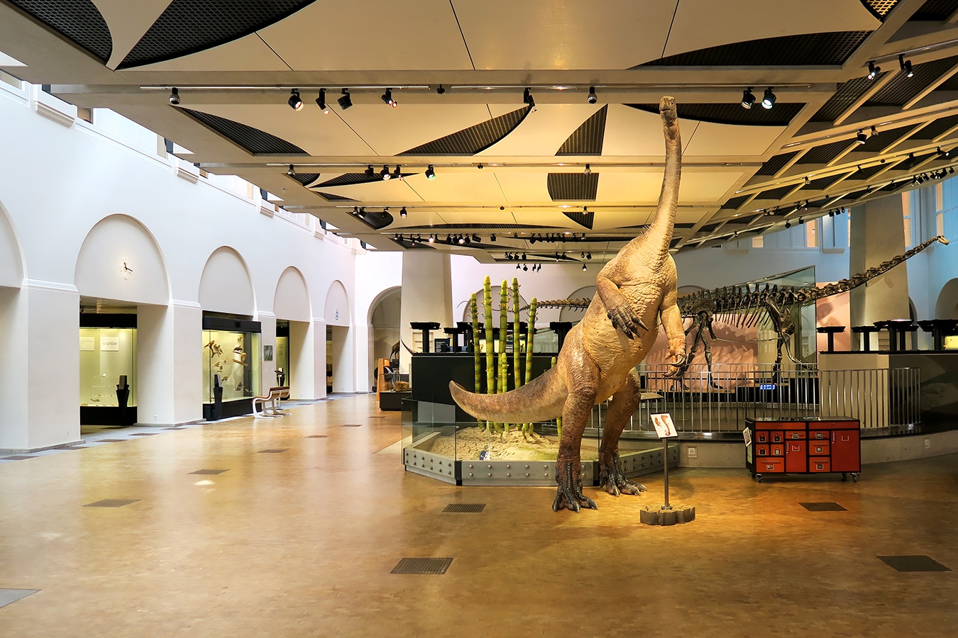 naturhistorisches museum der universitat zurich 8-2024 0903