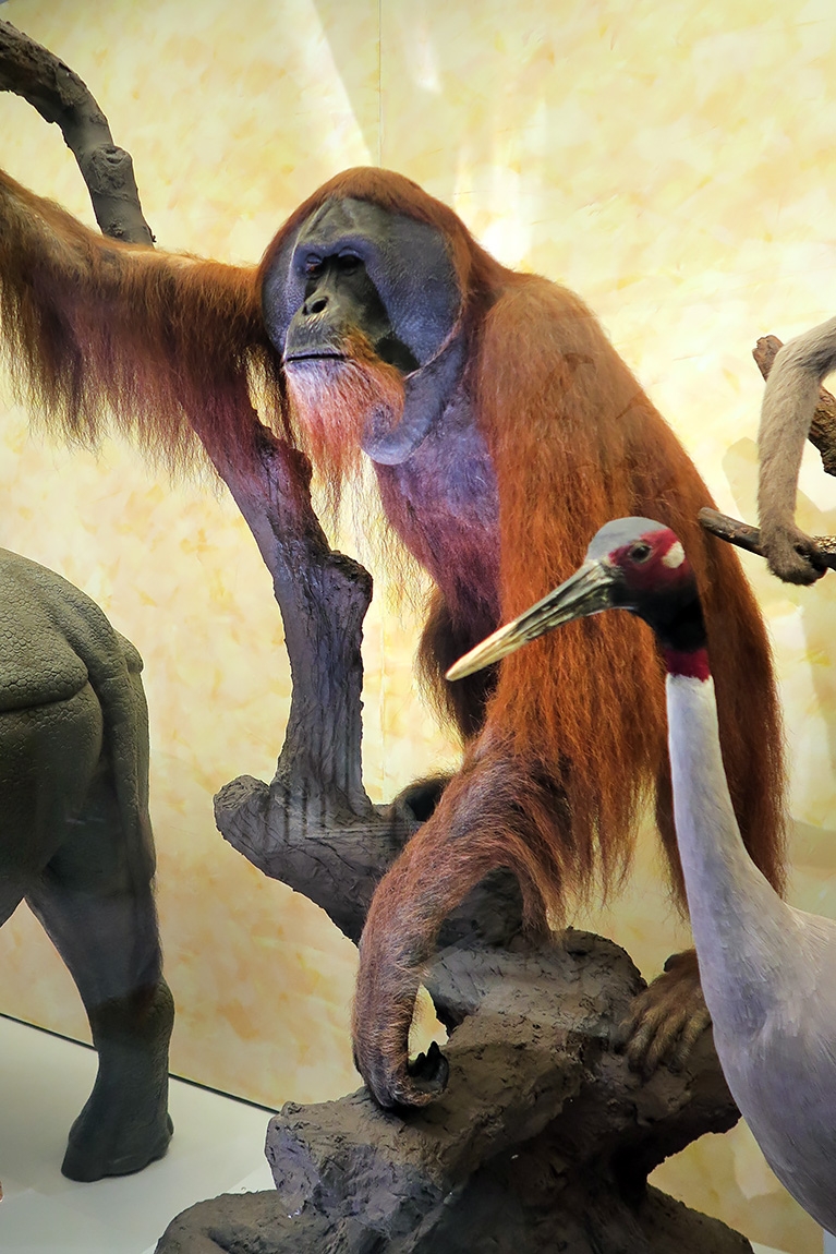 naturhistorisches museum der universitat zurich 8-2024 0999