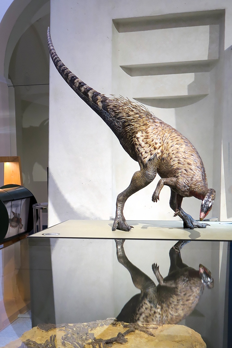 naturhistorisches museum der universitat zurich 8-2024 1008