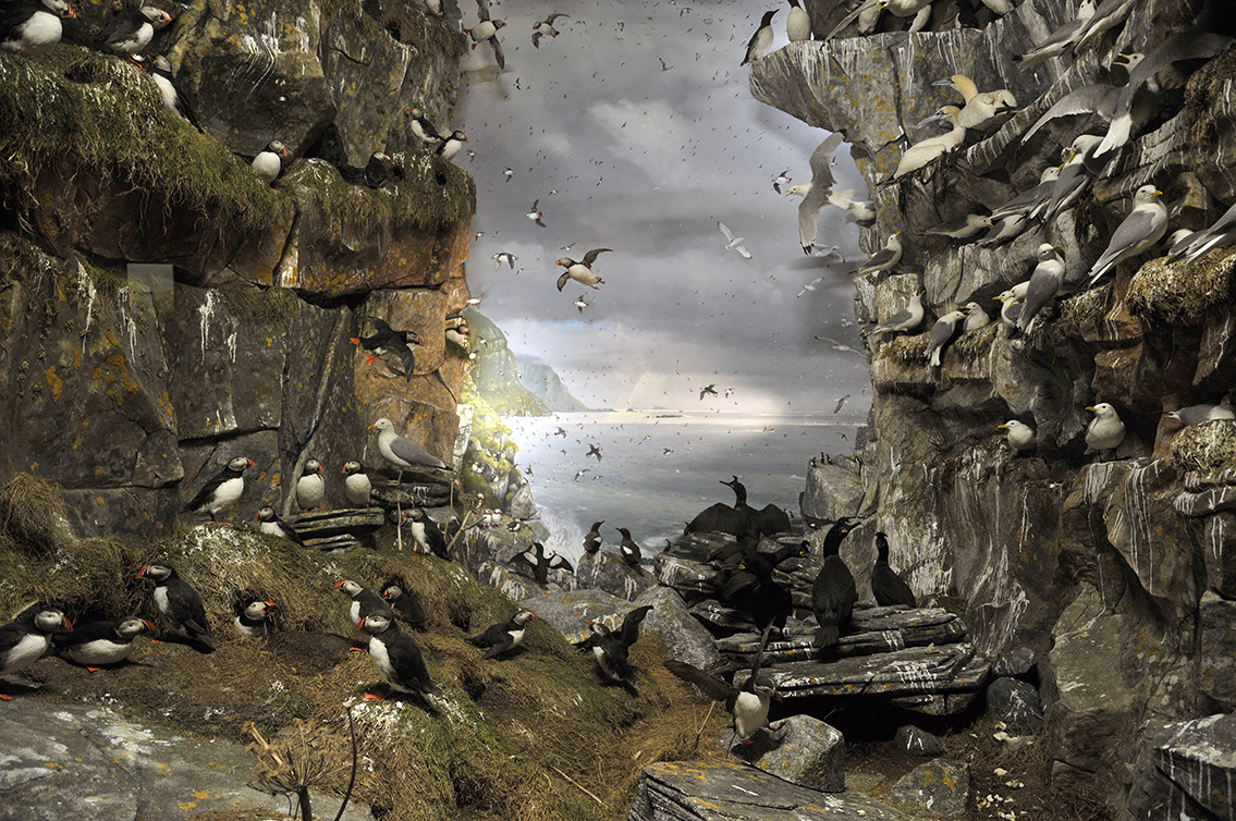 naturhistorisk museum oslo 8-2015 8400