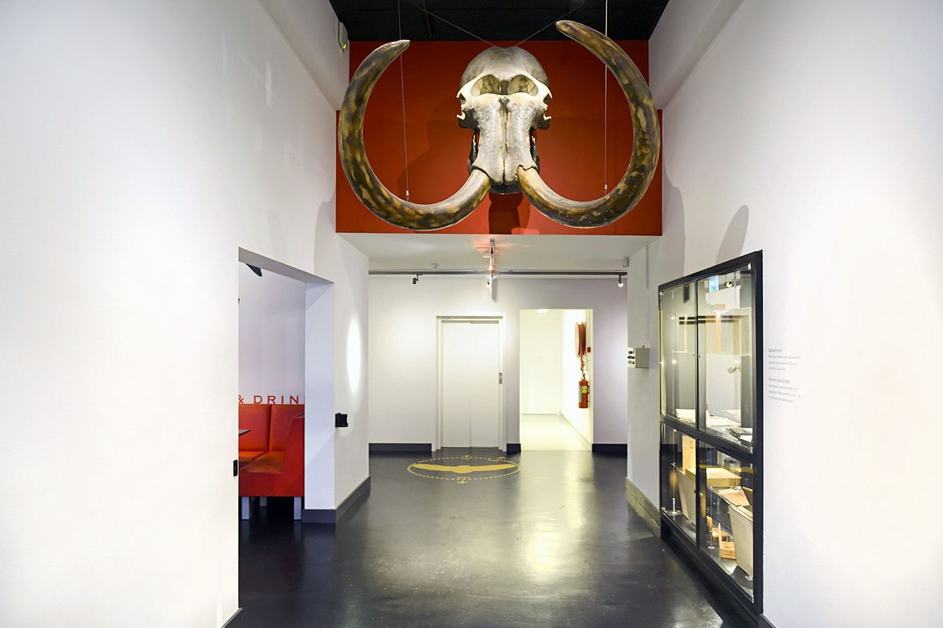 natuurmuseum brabant tilburg 1-2023 6022