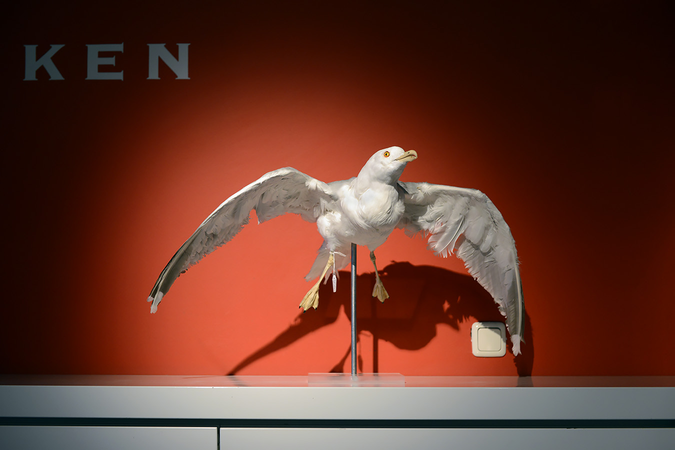 natuurmuseum brabant tilburg 1-2023 6055