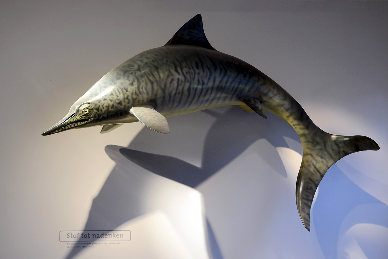 natuurmuseum brabant tilburg 1-2023 6056