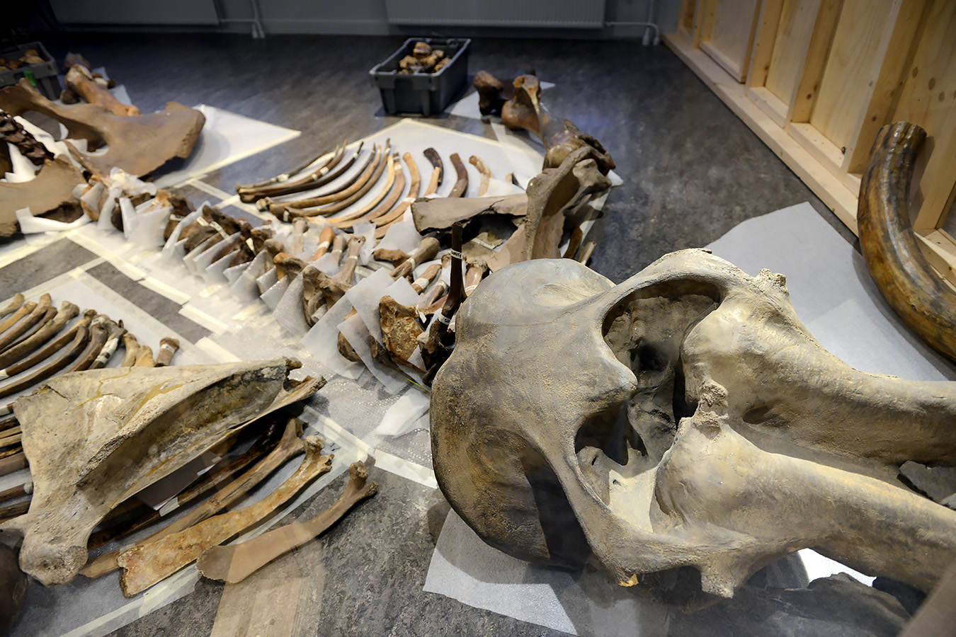 natuurmuseum brabant tilburg 1-2023 6119