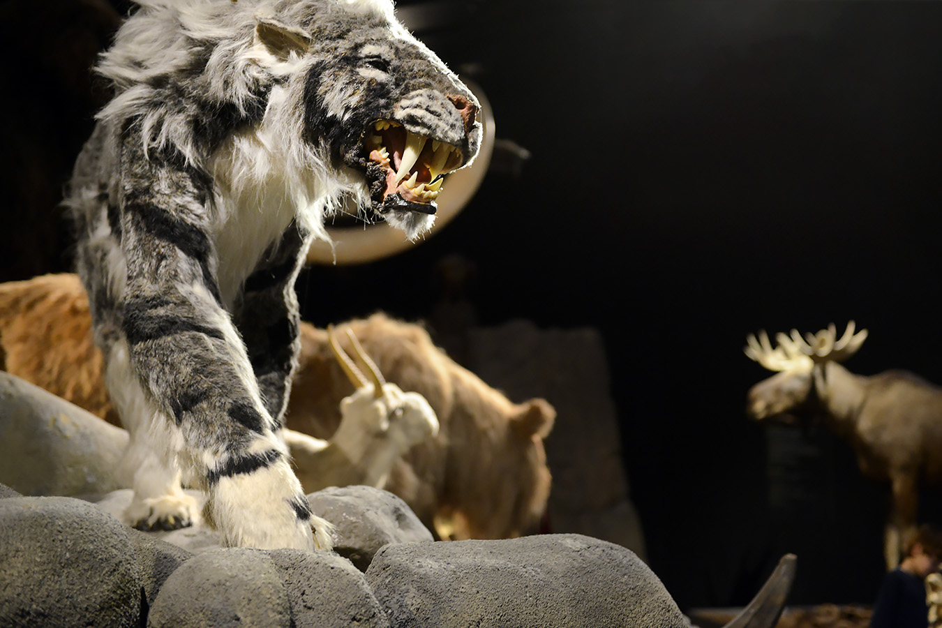 natuurmuseum brabant tilburg 1-2023 6158