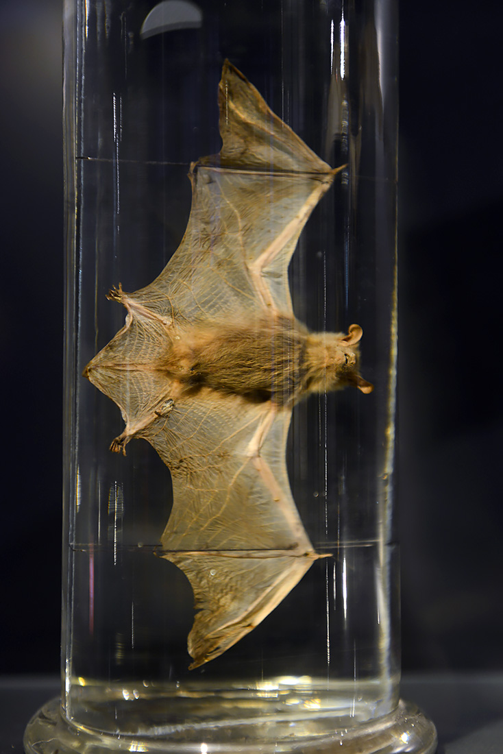 natuurmuseum brabant tilburg 1-2023 6205
