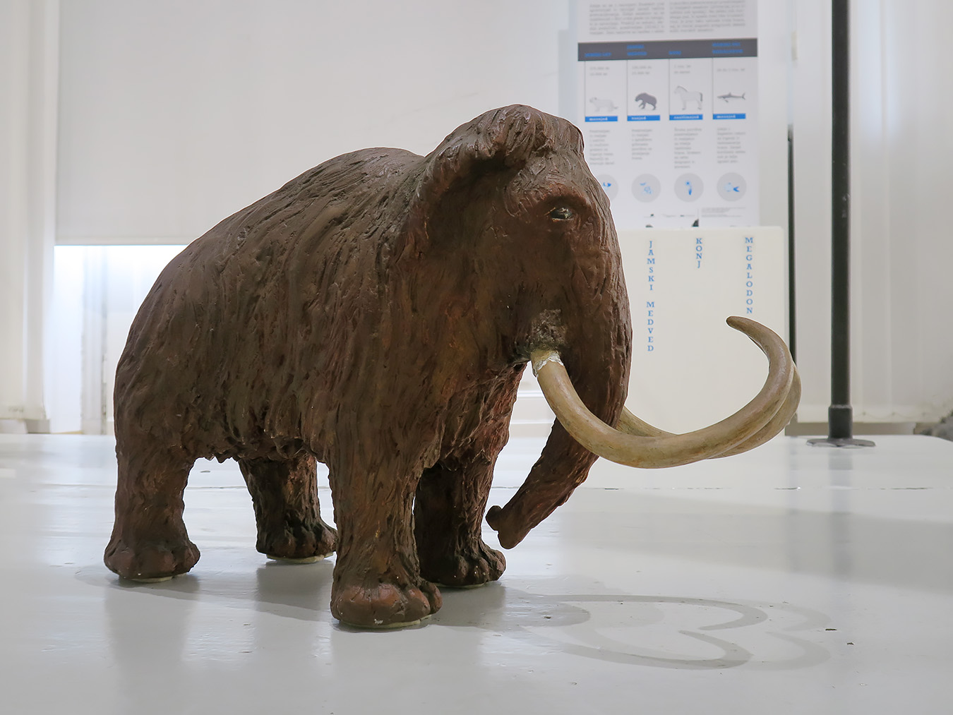 prirodoslovni muzej ljubljana 7-2023 9161