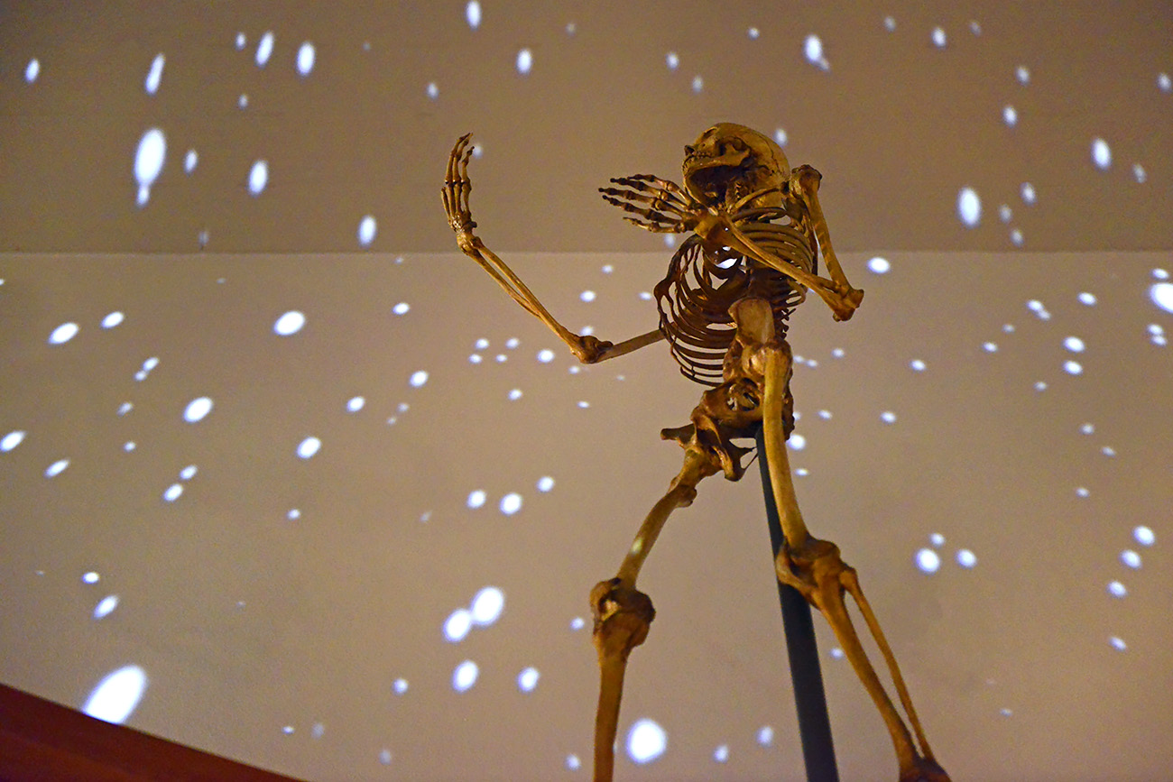 museum boerhaave 3-2022 1125