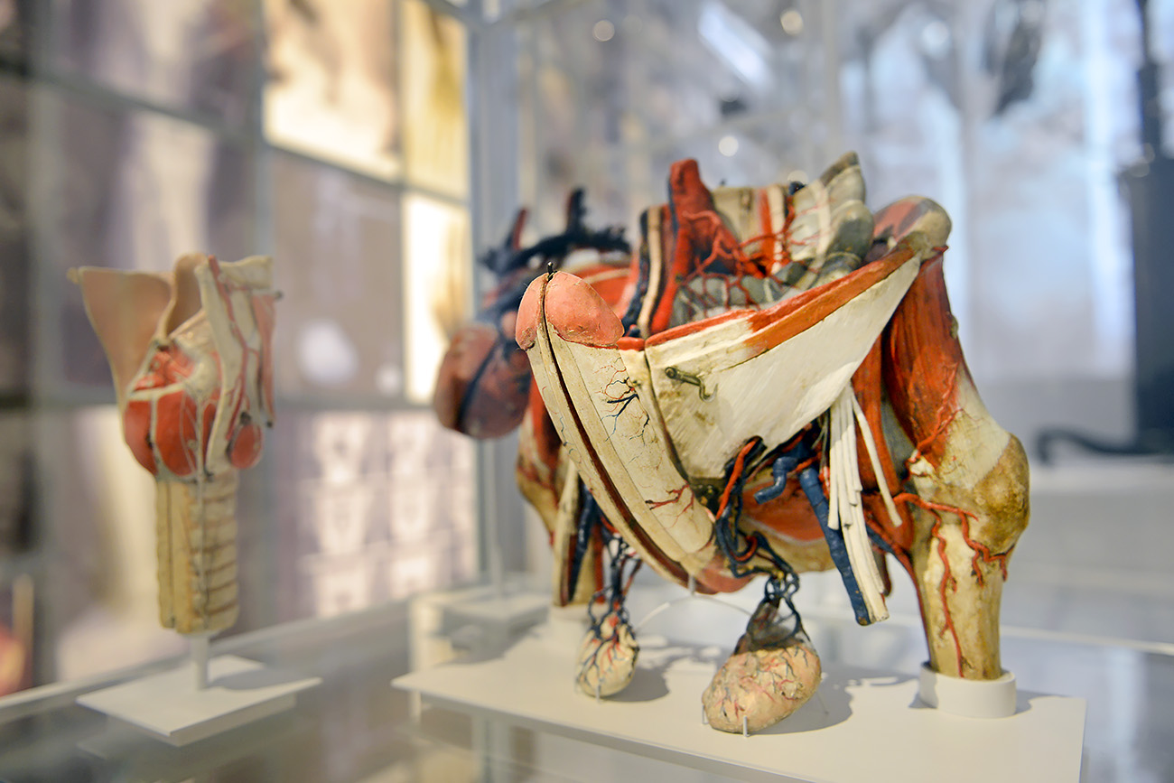 museum boerhaave 3-2022 1190