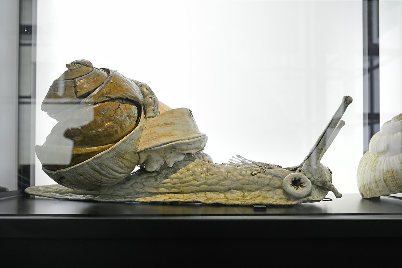 museum boerhaave 3-2022 1211