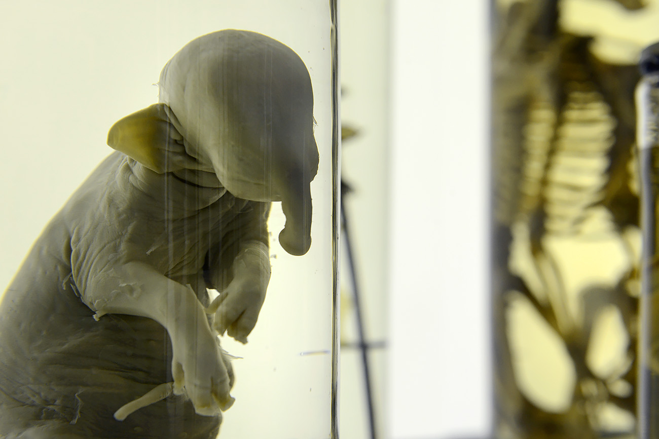 museum boerhaave 3-2022 1222