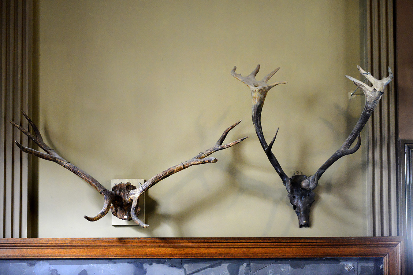 tylers museum 10-2023 9147