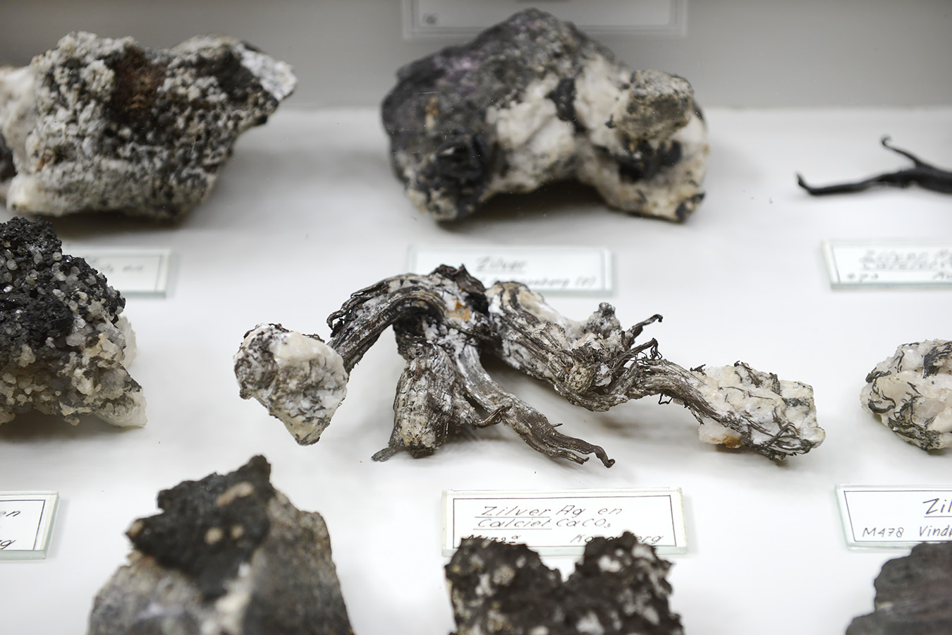 tylers museum 10-2023 9215