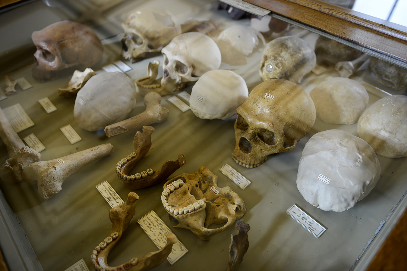 tylers museum 10-2023 9294