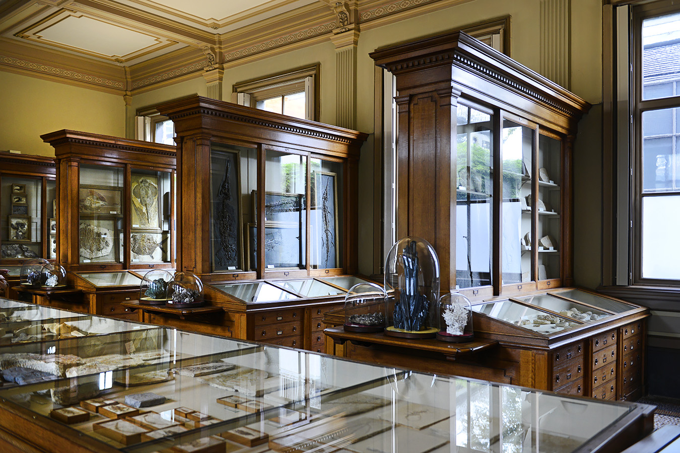 tylers museum 10-2023 9297