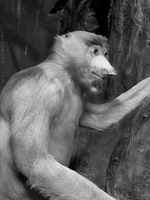 nat hist museum oslo 8-2015 8420