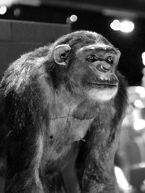 naturalis 9-2021 9811