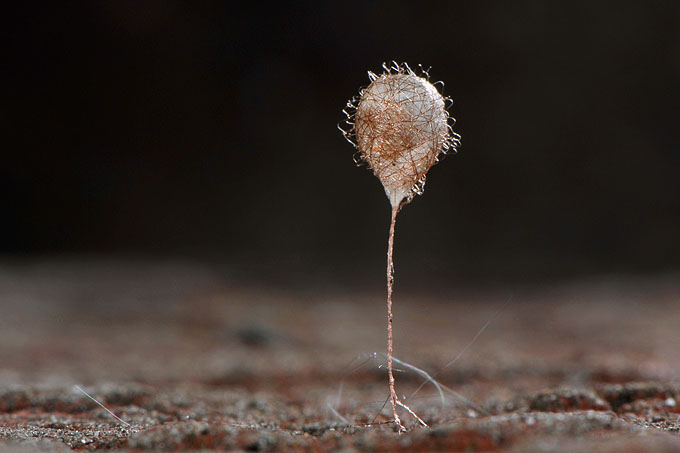 ero-eicocon 4-2012 6868