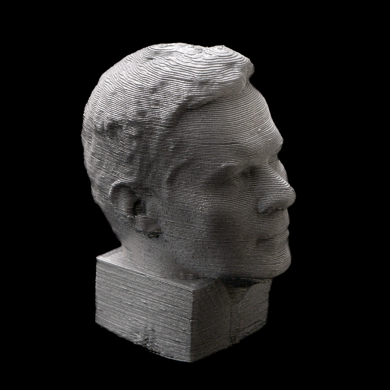 3d buste 1-2014 8504