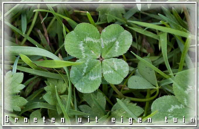 Groeten uit eigen tuin
