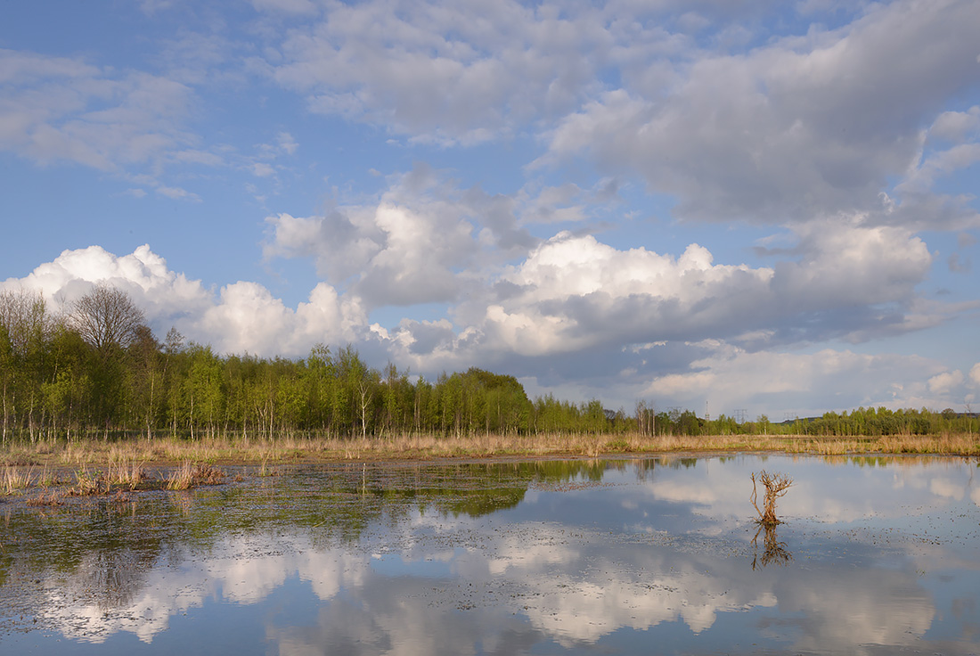 Leikeven 4-2017 8267