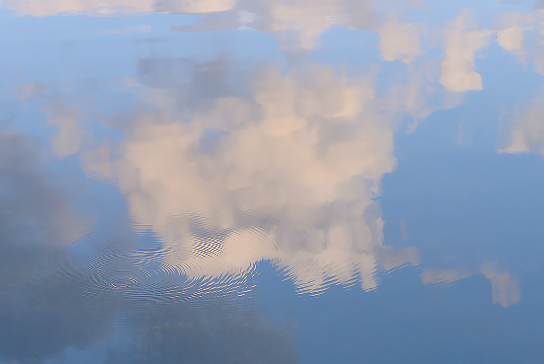 Leikeven 4-2017 8370